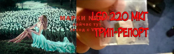 ECSTASY Алзамай