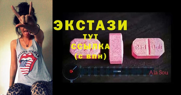 ECSTASY Алзамай