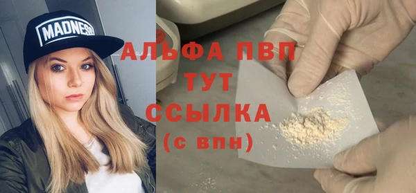 ECSTASY Алзамай