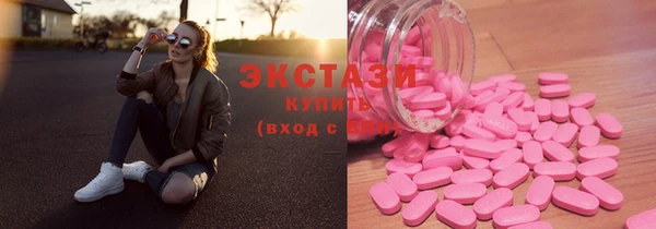 ECSTASY Алзамай