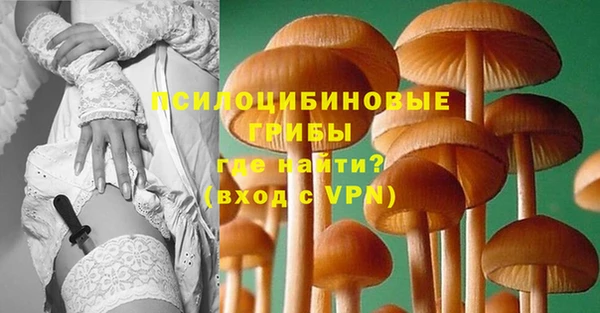 ECSTASY Алзамай