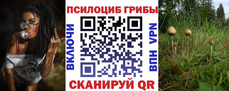 Купить закладки  Богданович  Галлюциногенные грибы Cubensis 